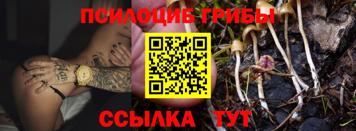 Псилоцибиновые грибы Psilocybine cubensis  Вход с VPN  Железногорск 